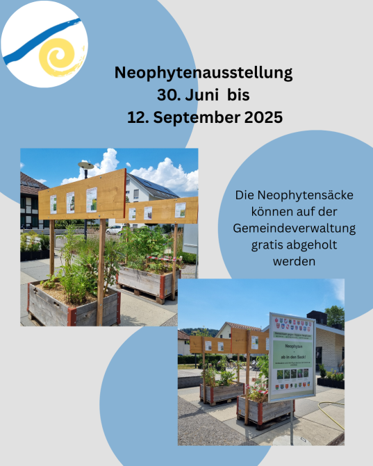 Neophytenausstellung auf dem Dorfplatz