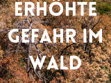 Erhöhte Gefahr im Wald